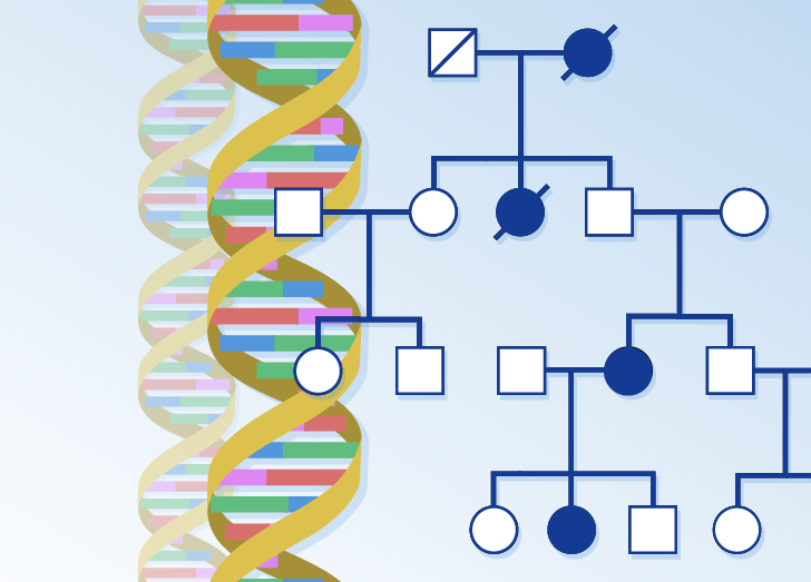 Genetics Essentials | Harvard Medical School Professional, Corporate ...