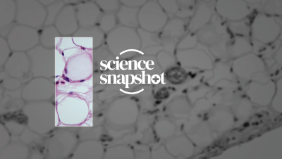 Science Snapshot logo.