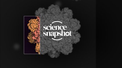 Science Snapshot logo.