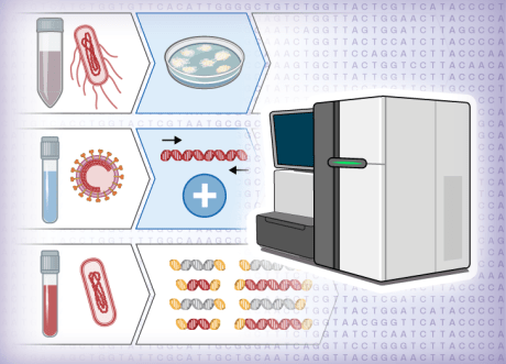 Sequencing Strategies for Pathogen Genomics | Harvard Medical School ...