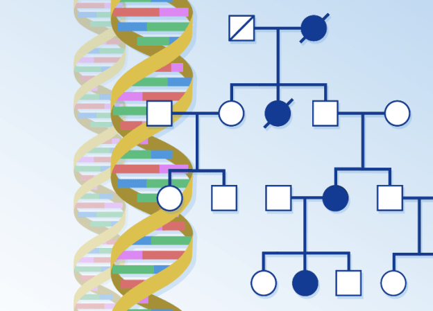 Genetics Essentials | Harvard Medical School Professional, Corporate ...