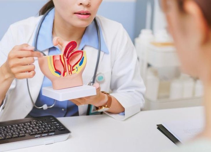 Doctor shows patient a bladder example.