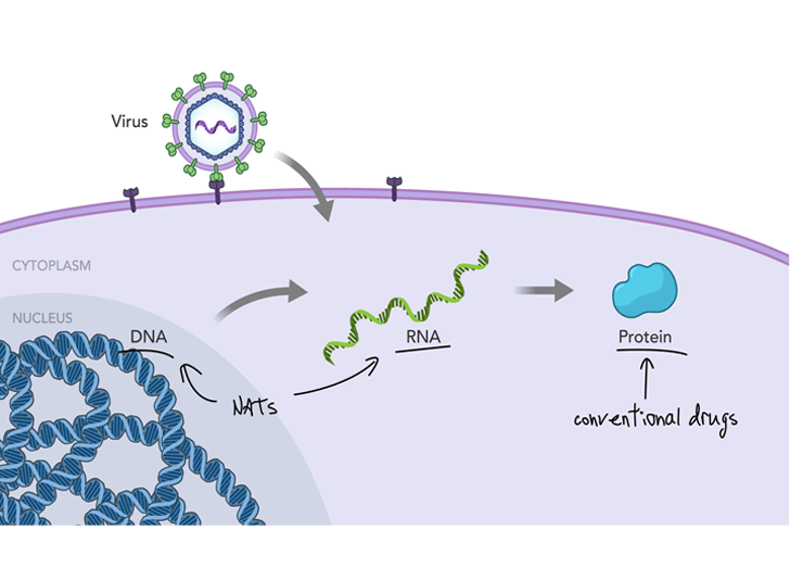 Drug Discovery Overview illustration