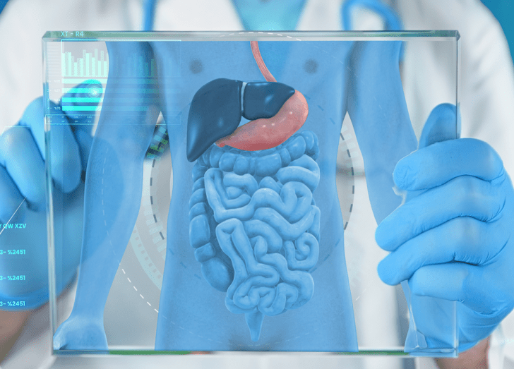 close up of Gastrointestinal, and Liver and Pancreatic.