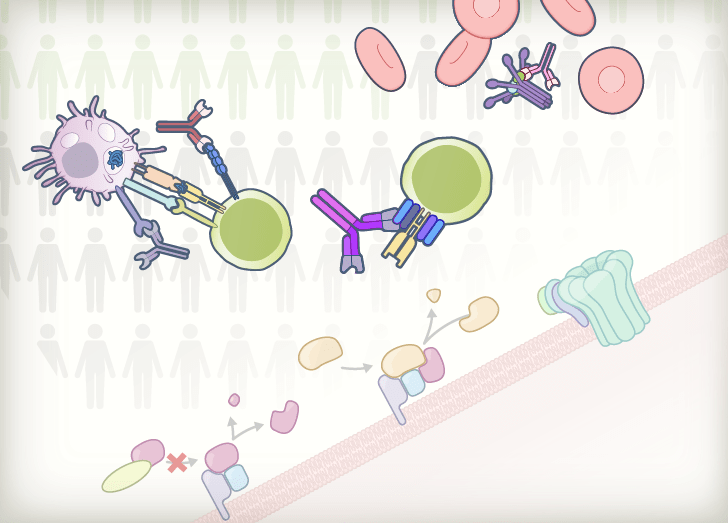 Advances in Immunological Therapeutics Course Illustration.