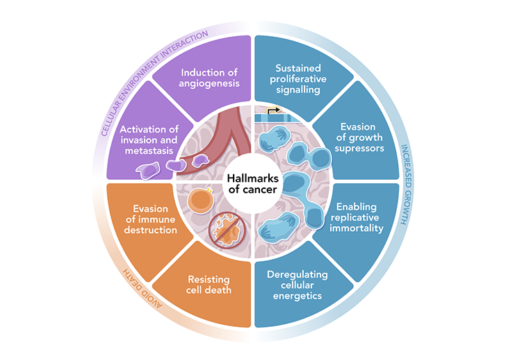 Hallmarks of Cancer still from Course