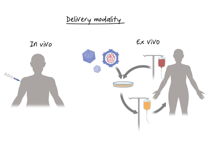 Nucleic Acid Therapeutics Course Illustration.