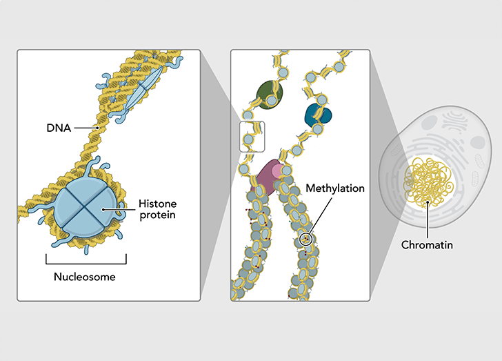 Genetic Testing Course Illustration