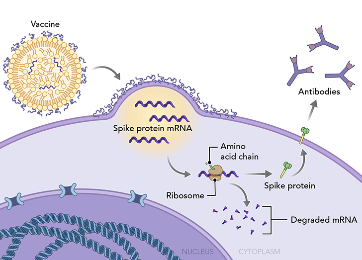 Gene Therapy Course Illustration