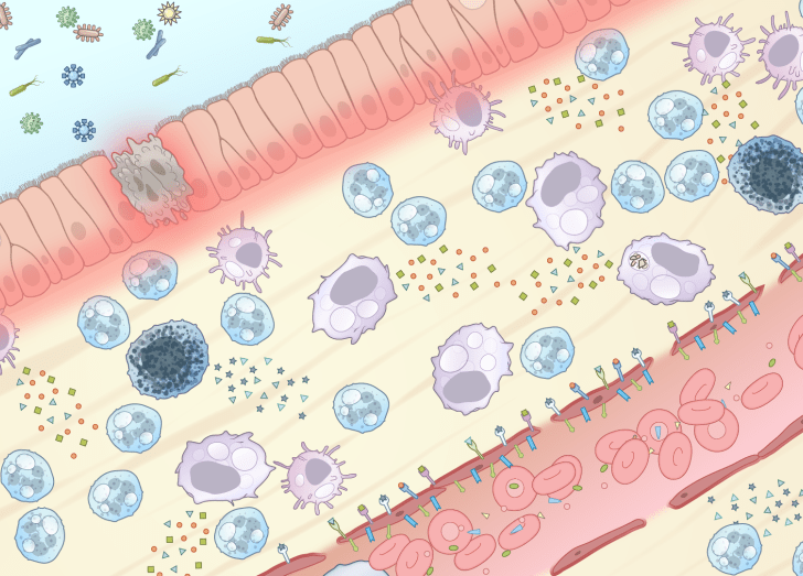 Novel Therapies for Chronic Inflammation course illustration.