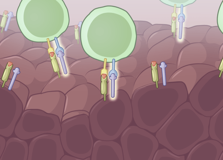 Immuno-oncology course illustration