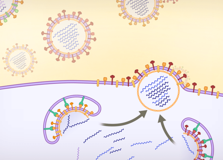 Vaccines Course Illustration