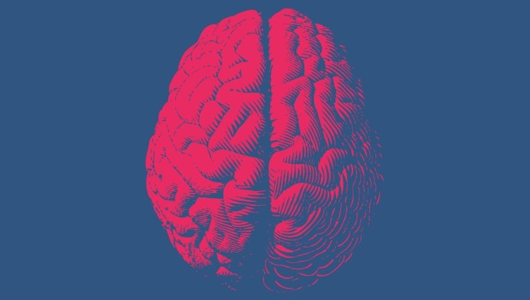 A sketch of a brain in red on a blue background.