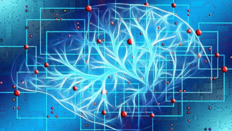 Image of a brain.