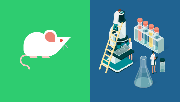 An illustration of a mouse on a green background and a lab on a blue background.