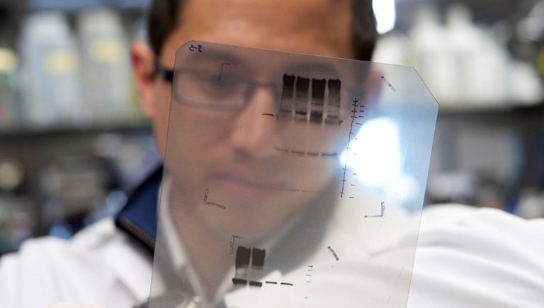 Scientist in a lab examines research. 