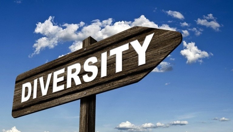 A sign displaying the word "Diversity" in bold letters is pointing forward. 