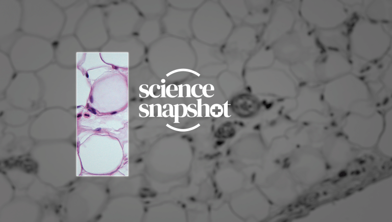 Science Snapshot logo.