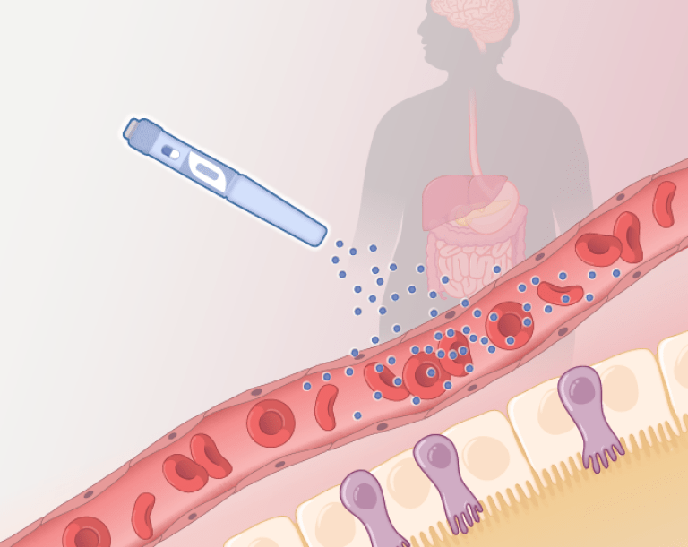 An illustration of a GLP-1 entering the body via needle.