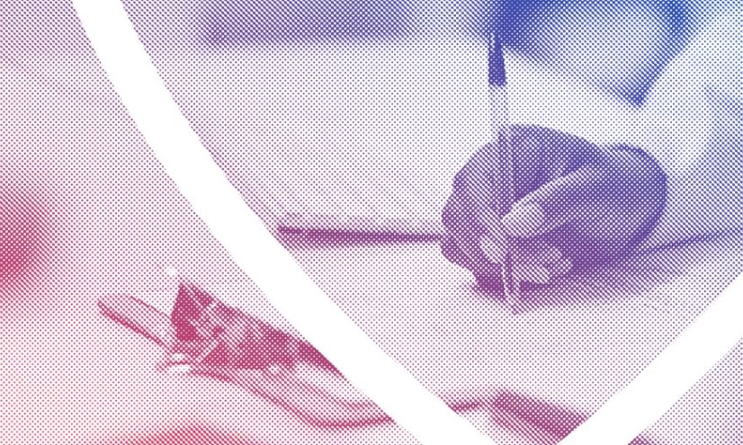 Essentials for Grant Proposal Writing