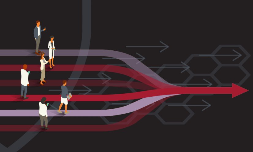Bridging Innovation
