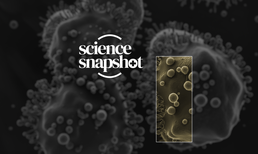 Science snapshot pancreatic 