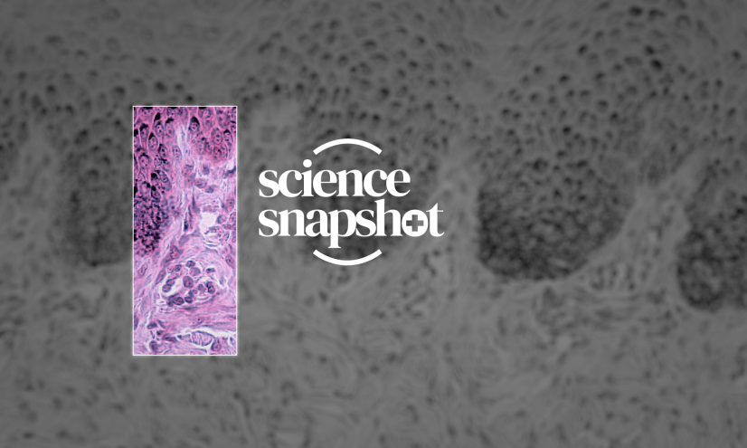 Science Snapshot Sunscreen close up.