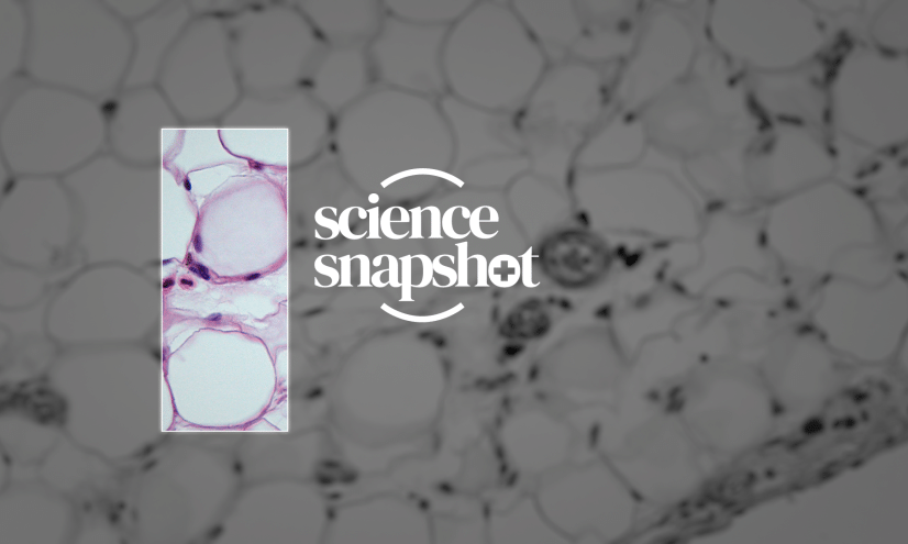 Science Snapshot logo.