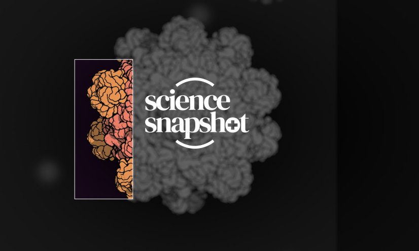 Science Snapshot logo.