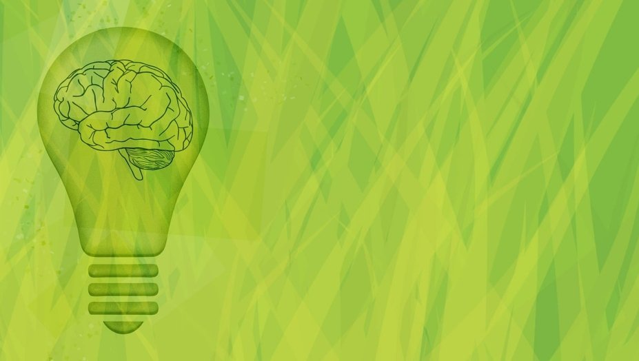 A graphic of a lightbulb with a brain inside of it.