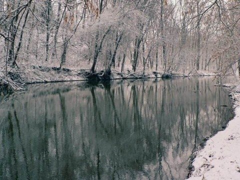 A pond in the winter.