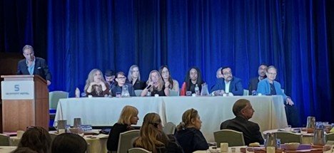 Laser Skin Therapy Panel