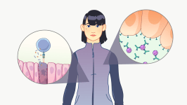 Illustration from HMX online course