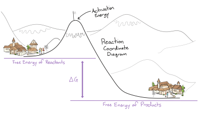 Illustration from HMX online course