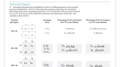 Still of a notetaking guide from an HMX course.