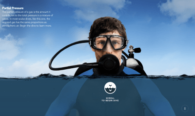 Person appears in scuba breathing gear just above water line.